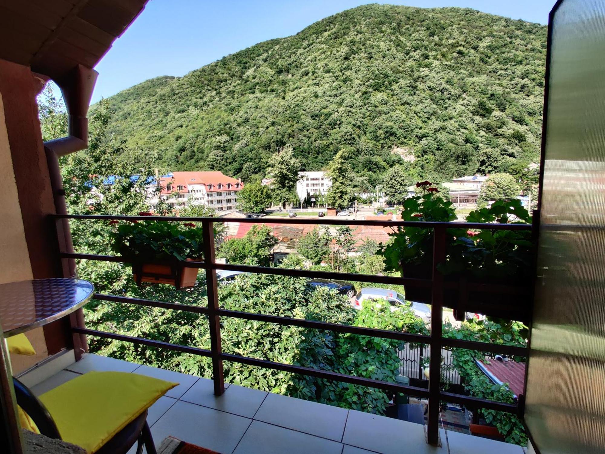바일레헤르쿨라네 Casa Miclau 아파트 객실 사진